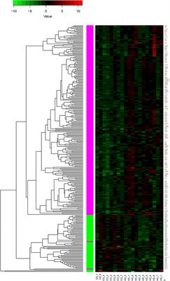 RNA Sequencing of Human Peripheral Blood Cells Indicates Upregulation of Immune-Related Genes in Huntington's Disease